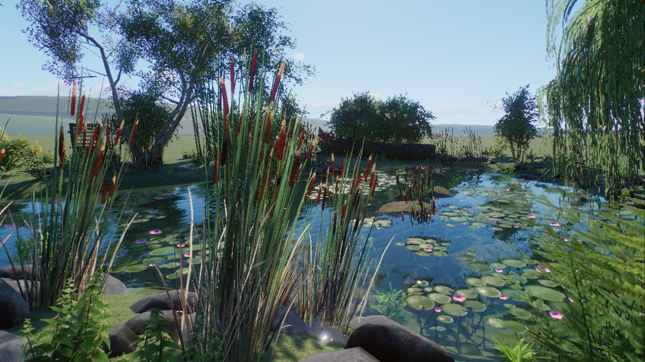 Natural Pond 2