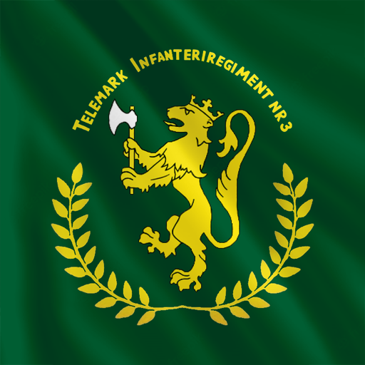 3rdTelm Flag