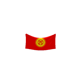 kyrgyzstan flag
