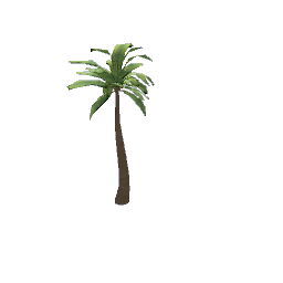 mini palm for reptile cage preview