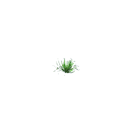 bush for reptile cage preview