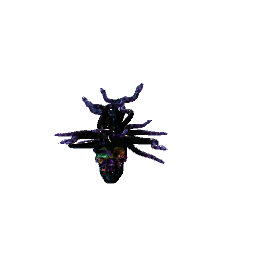 new medusa skull 2