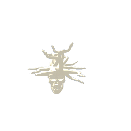 new medusa skull 3 preview