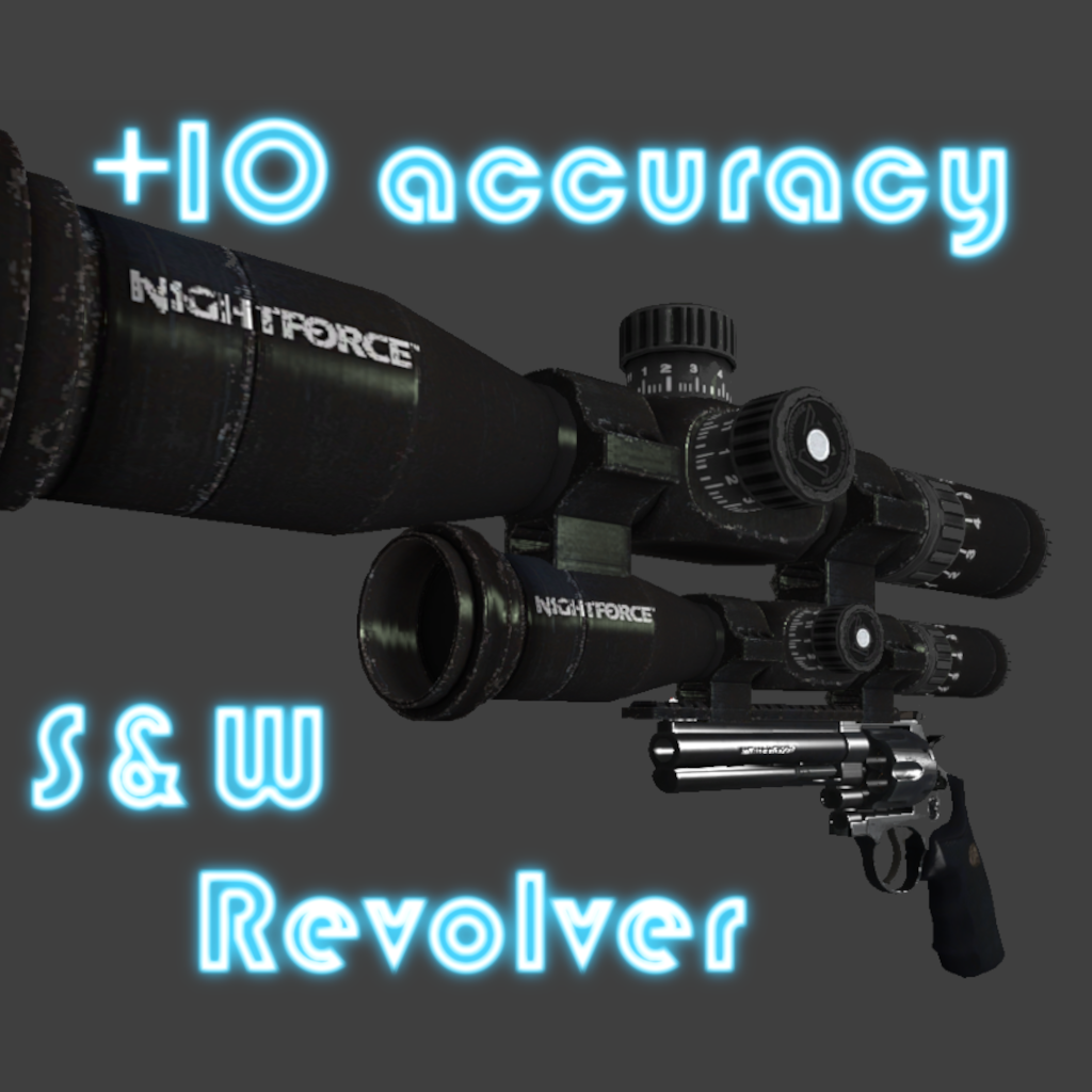 +10 Accuracy S&W Revolver