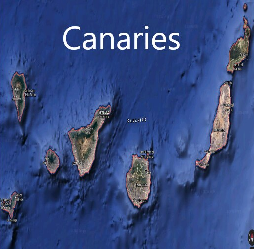Canaries