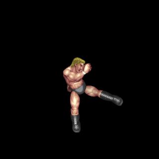 Low Kick (Standing(S))