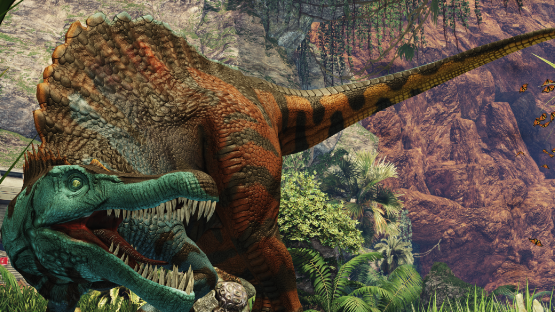Contrast Spino (Free drop)