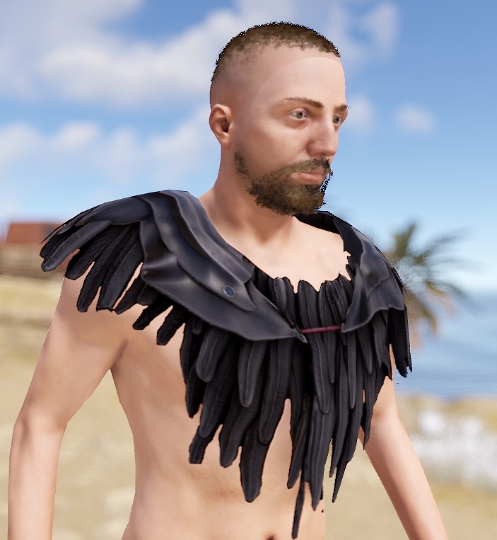 Raven Poncho