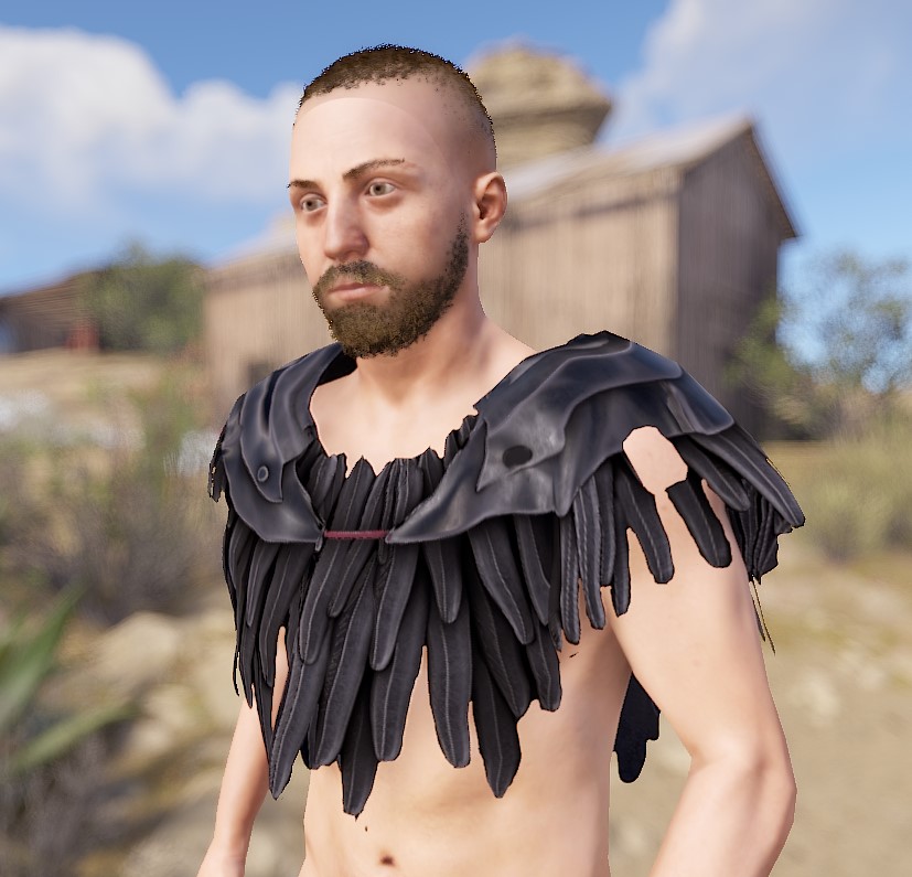Raven Poncho