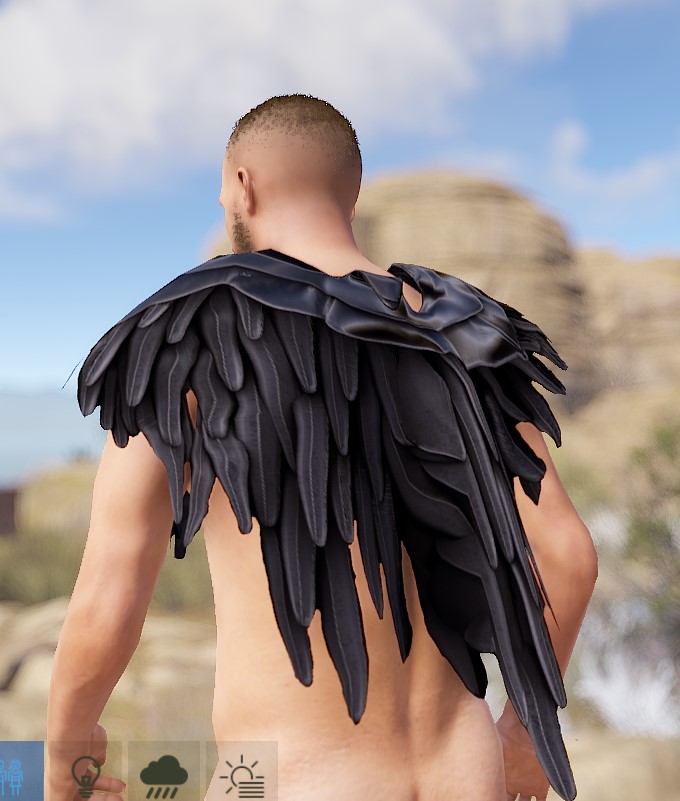 Raven Poncho