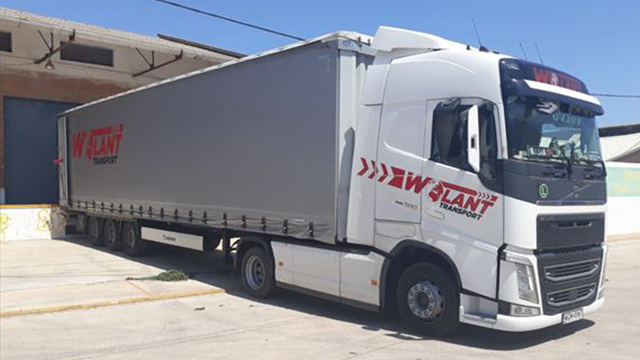 Combo Skin Wolant Firma