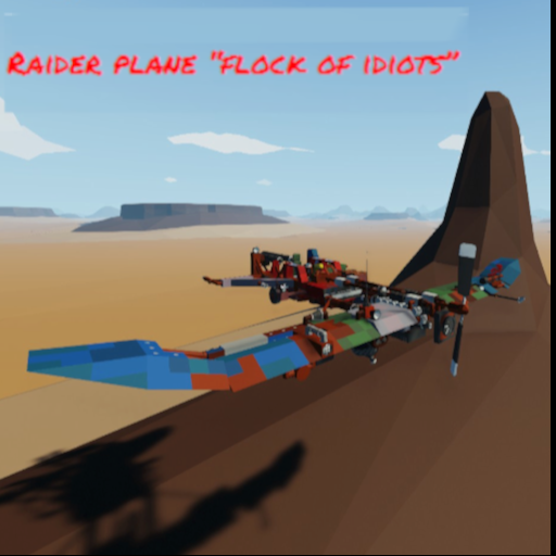 Raider plane "flock of idiots"