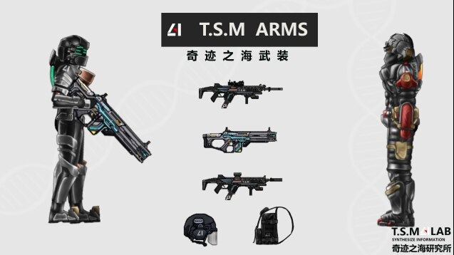 TSM Rechargeable Ammo