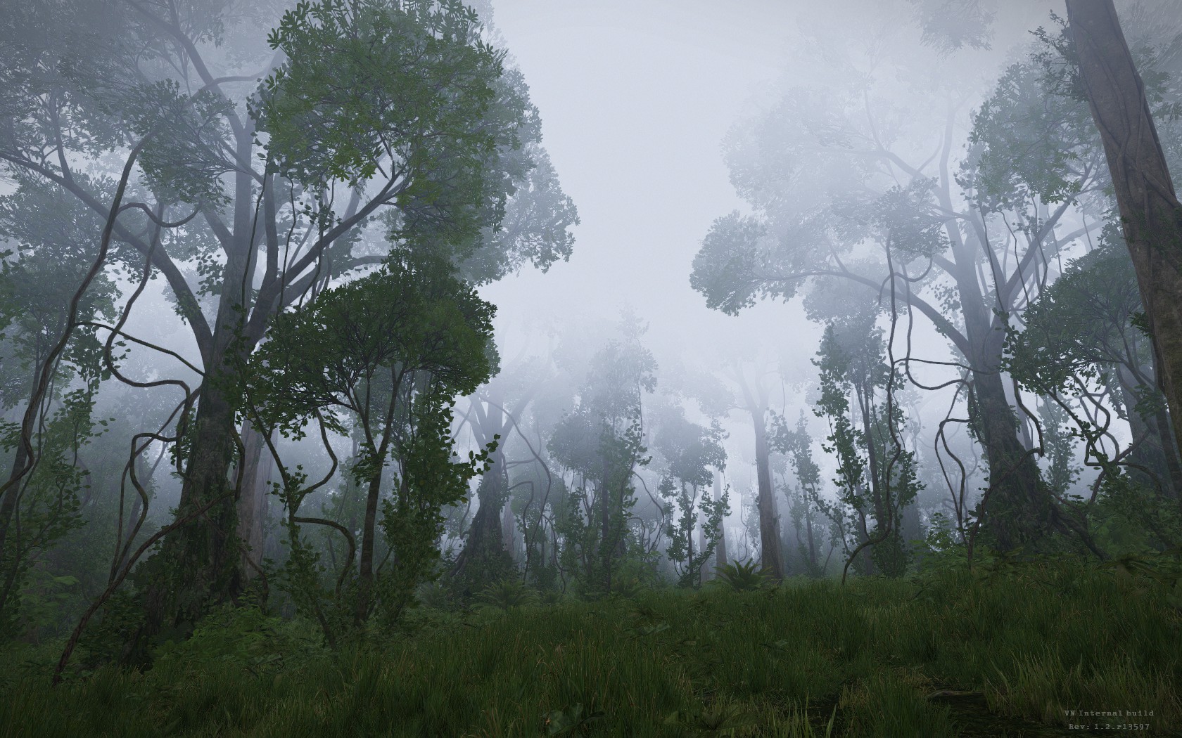 Cloud Forest Fog