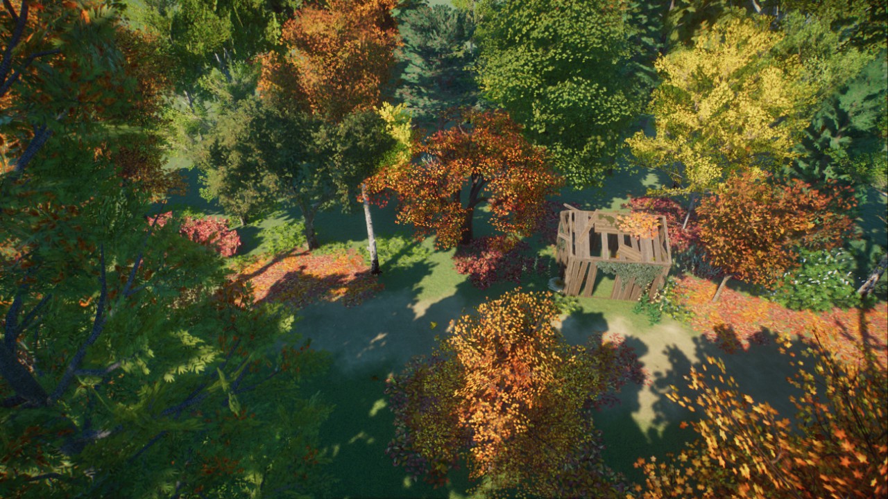 Stroll Through an Autumn Forest