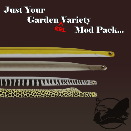 Gulf Stream Aquaria - Garden Eel Pack