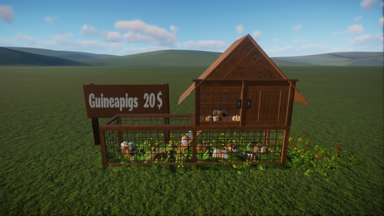 ''Annie's Piggies'' - Guineapig breeding - PetShop - Vendor Display