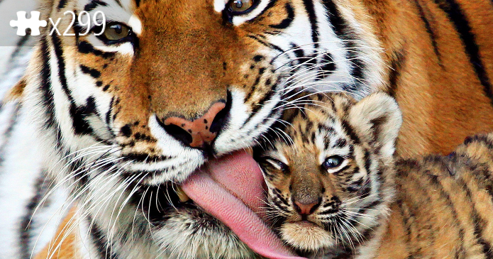 Tigerlove