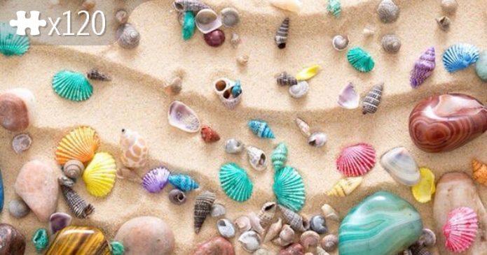 shells