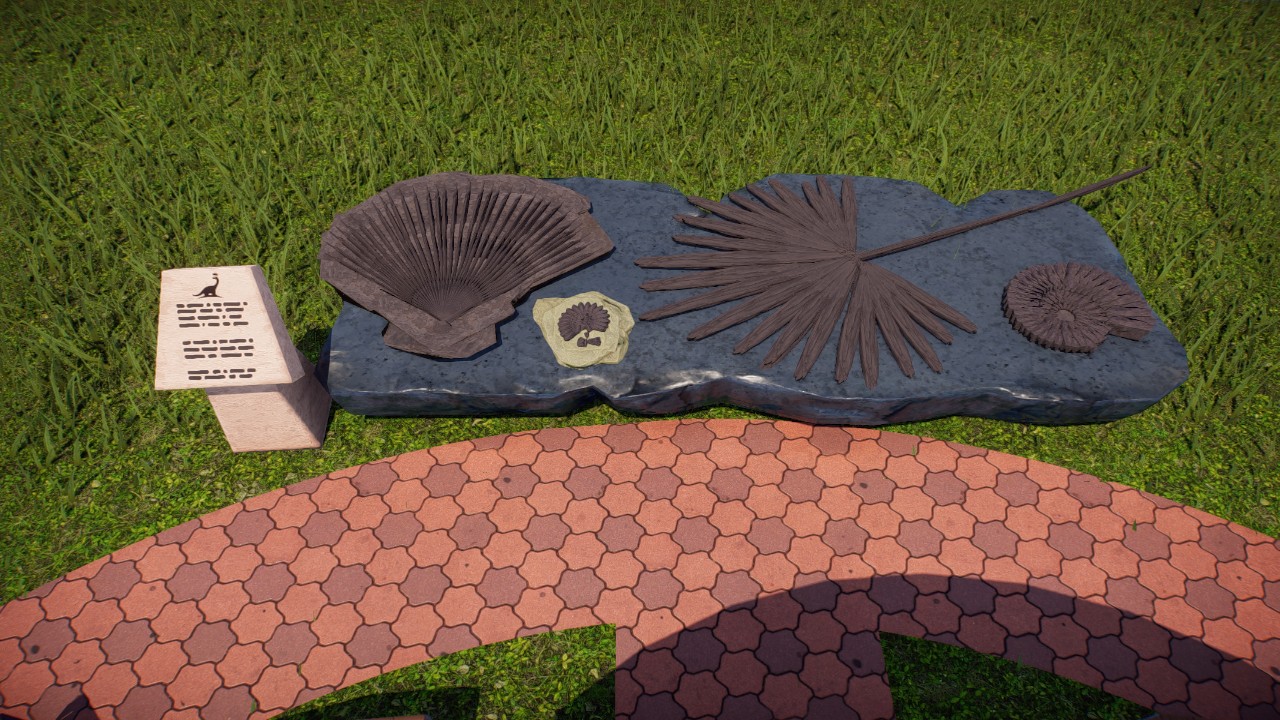 Fossil Display
