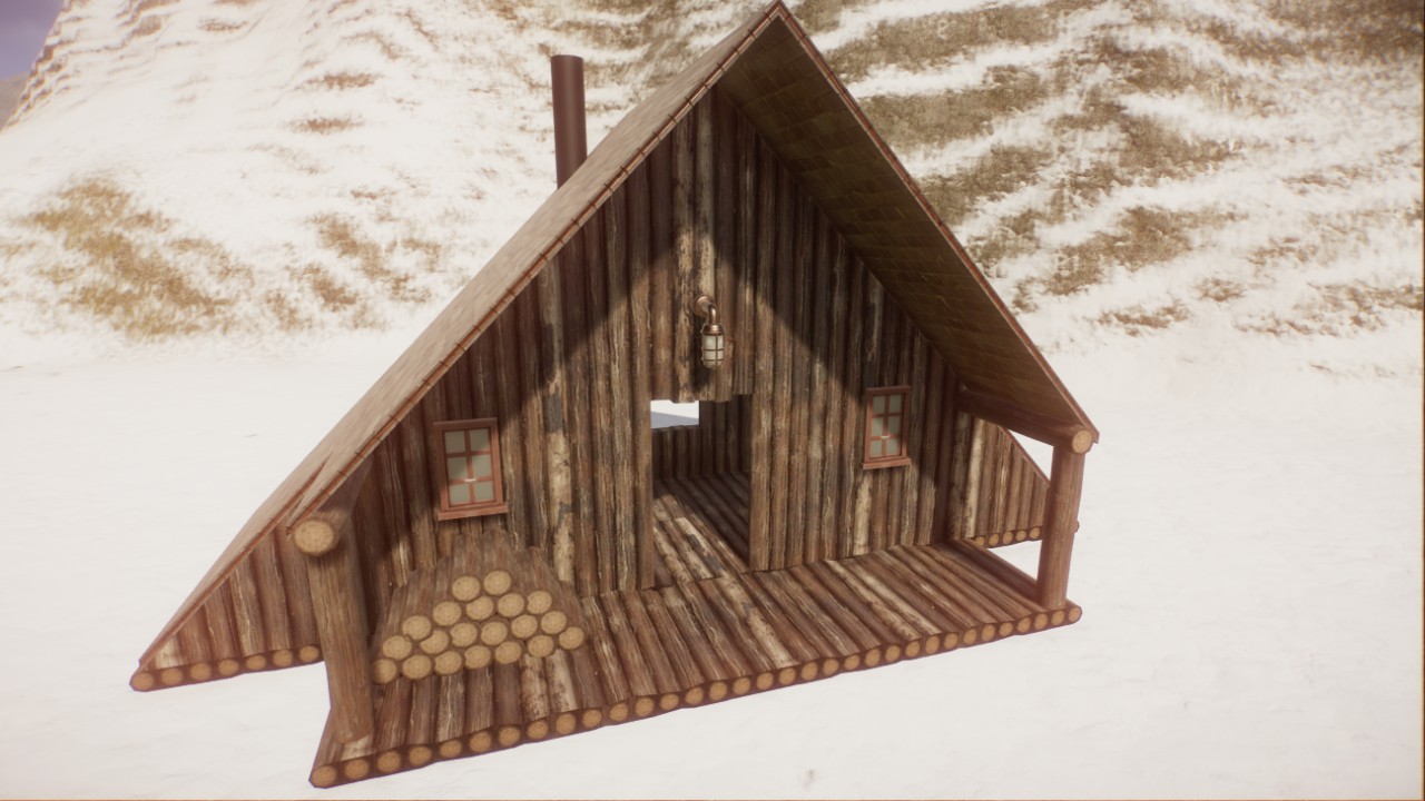 Tiny Rustic Cabin 3