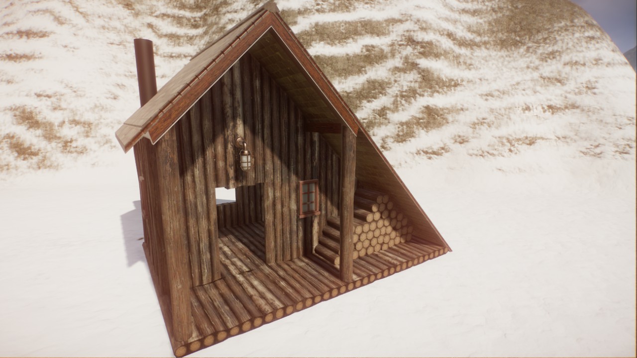 Tiny Rustic Cabin 4