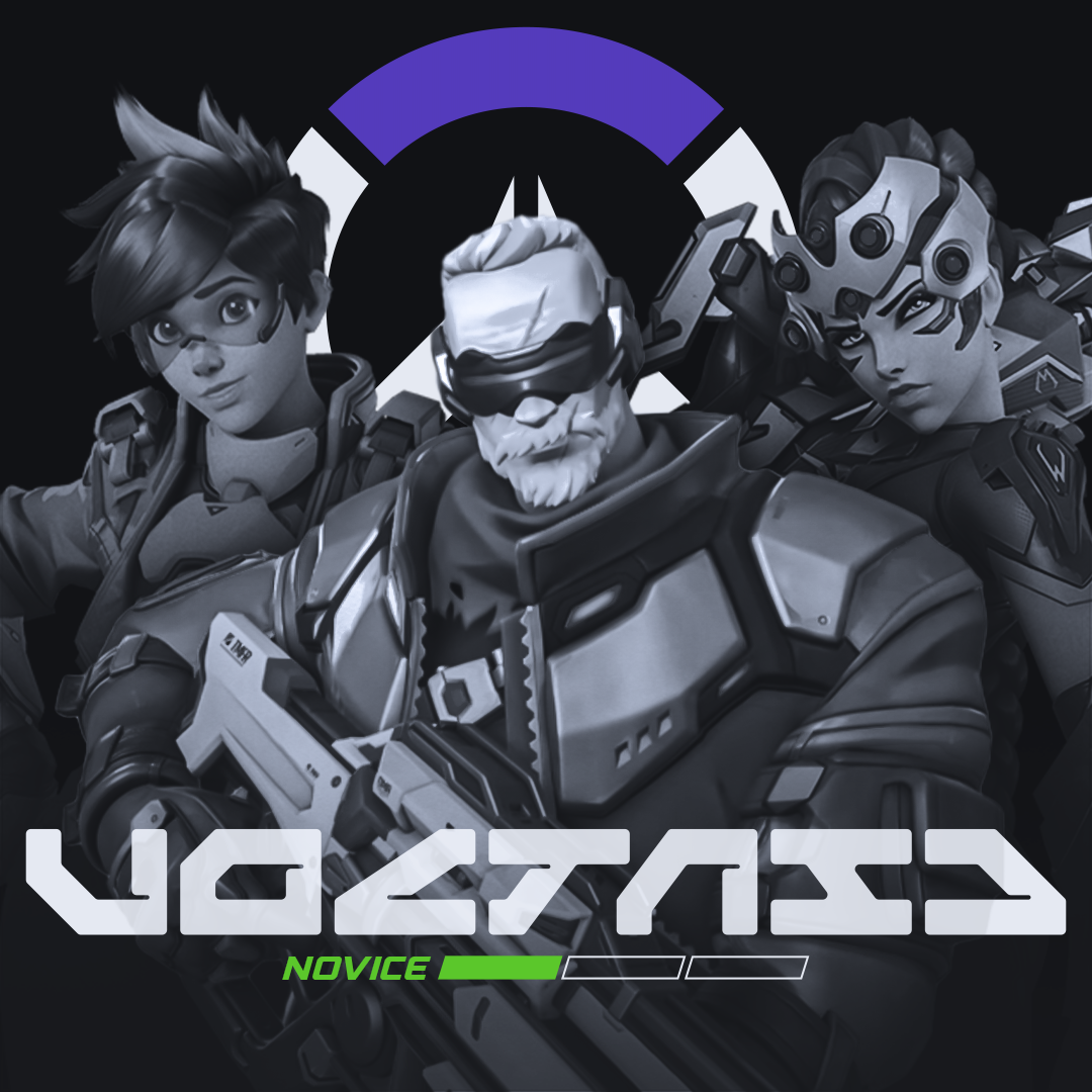 Voltaic Overwatch 2 Novice