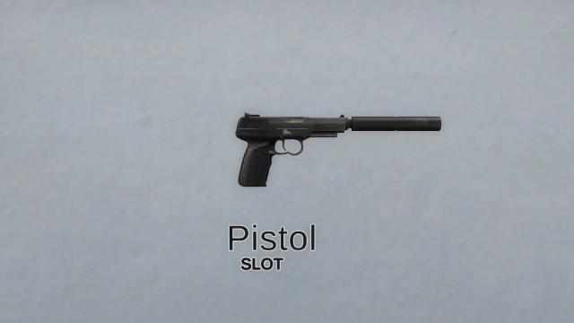 Silenced FN Five-seveN
