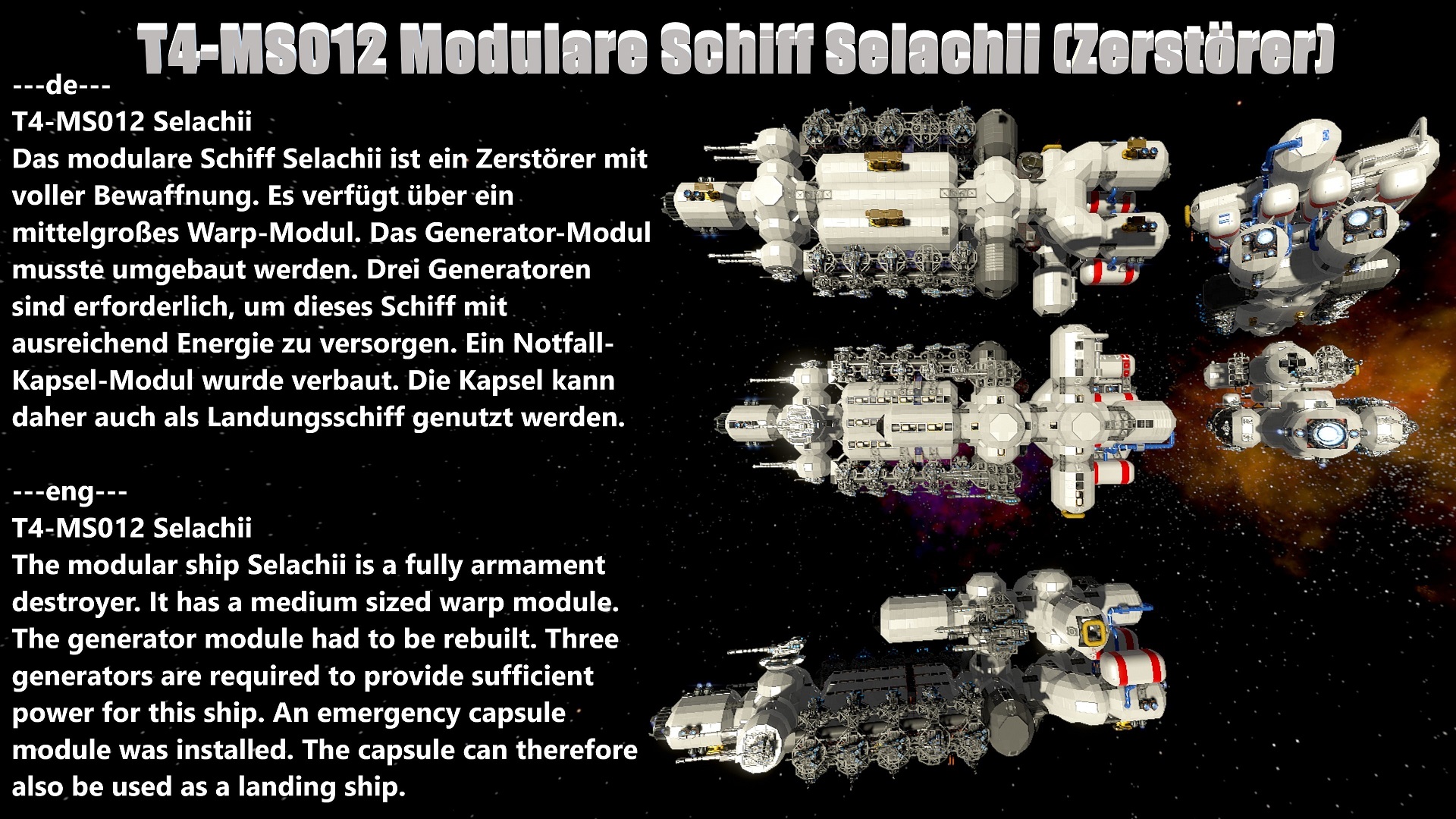 01T4-MS012 Selachii