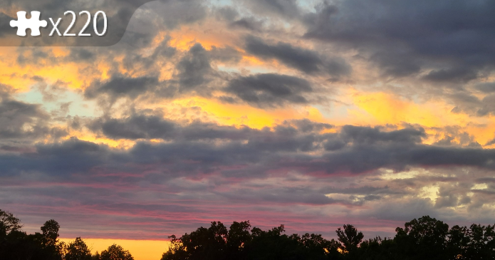 Sunset Above the Trees