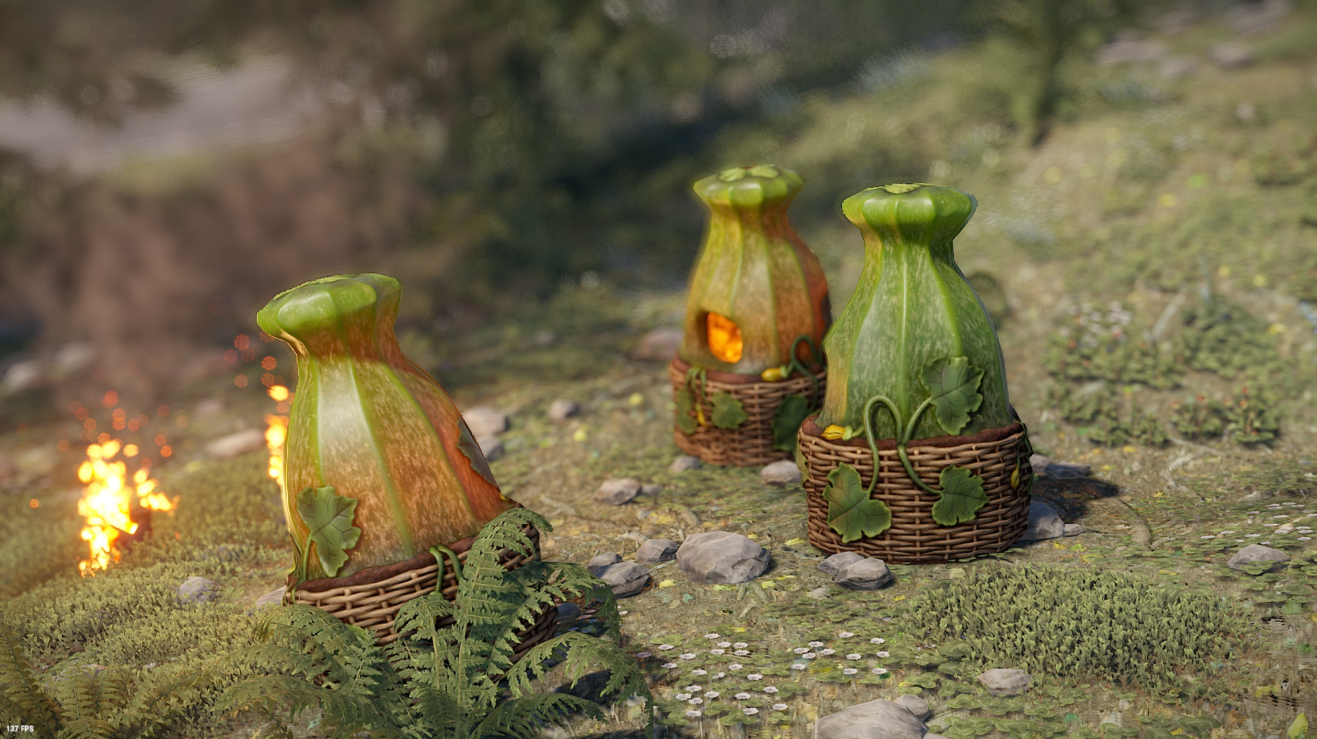 Zucchini Furnace