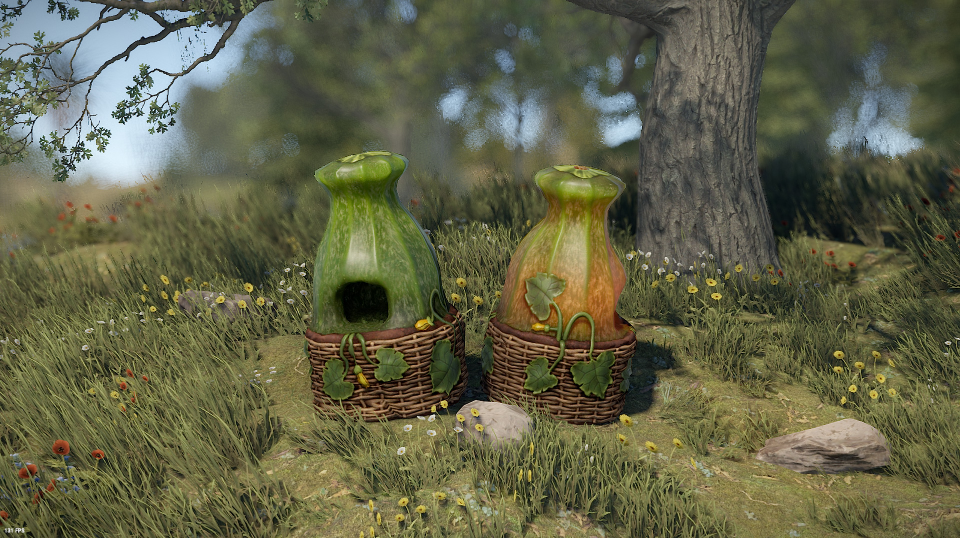 Zucchini Furnace