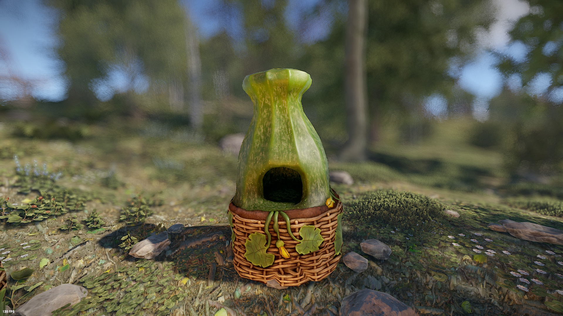 Zucchini Furnace