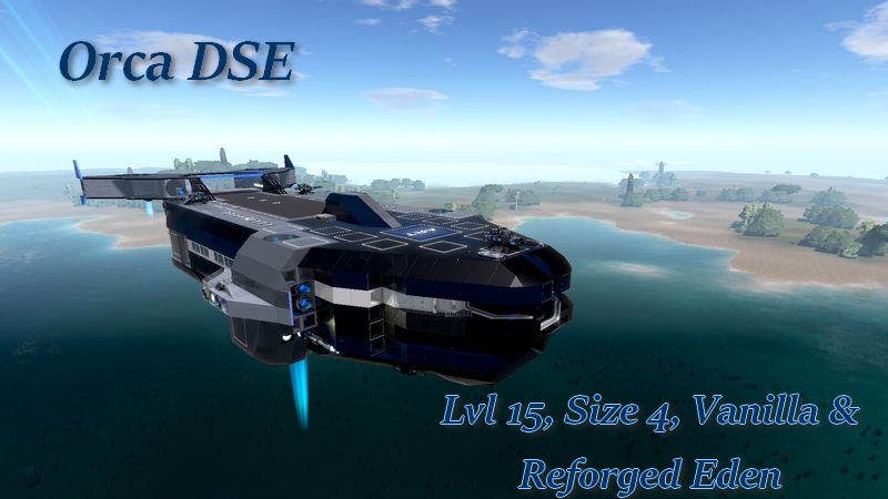 Orca DSE