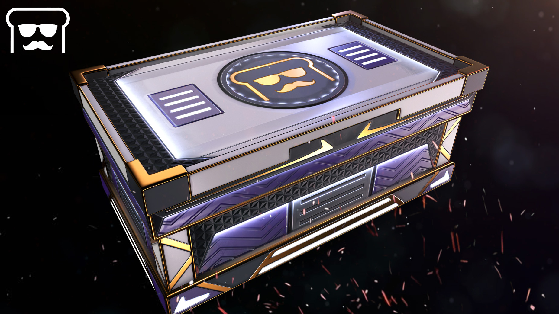 disguisedtoast Large Box