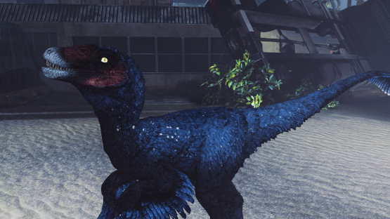 Star Gazer Novaraptor