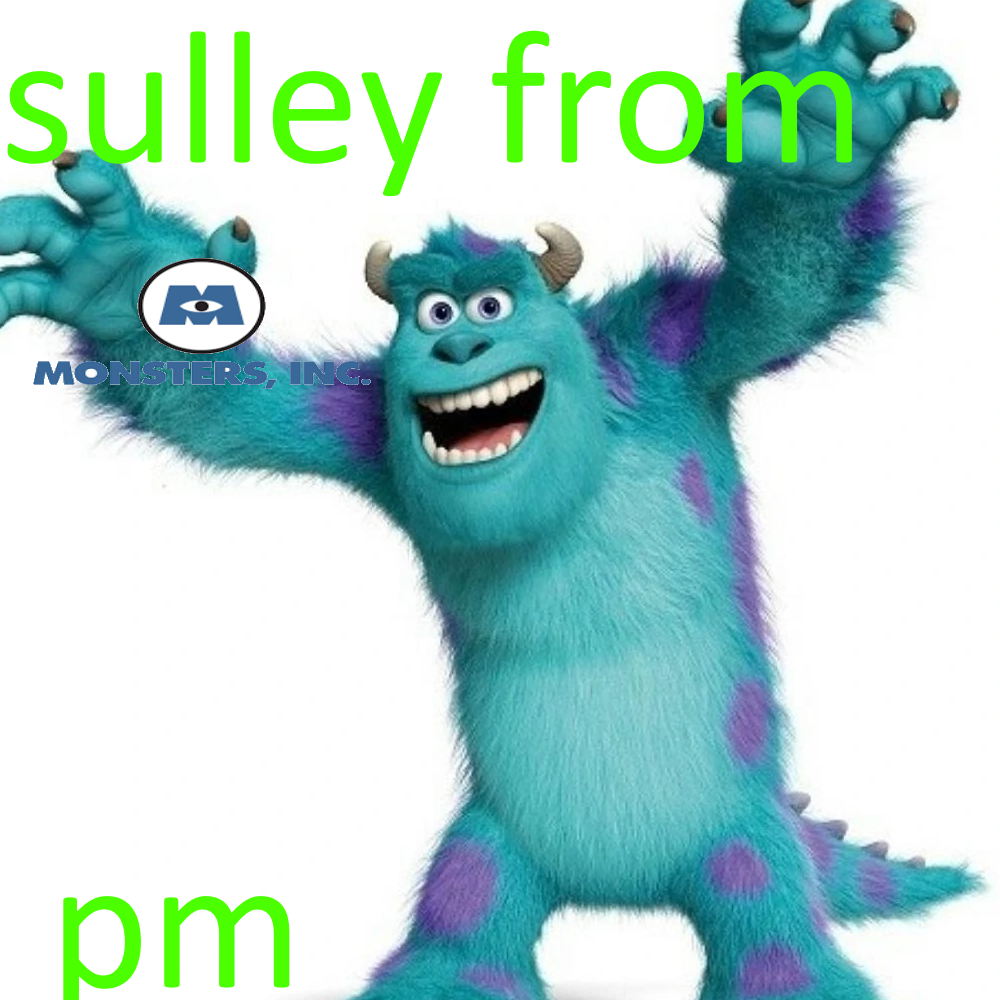 sulley from monsters inc pm