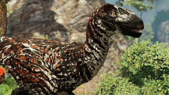 Western Novaraptor