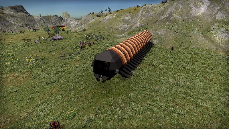 Texas Gold millipede