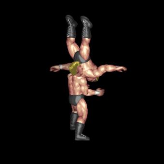 Moonsault Neckbreaker Drop