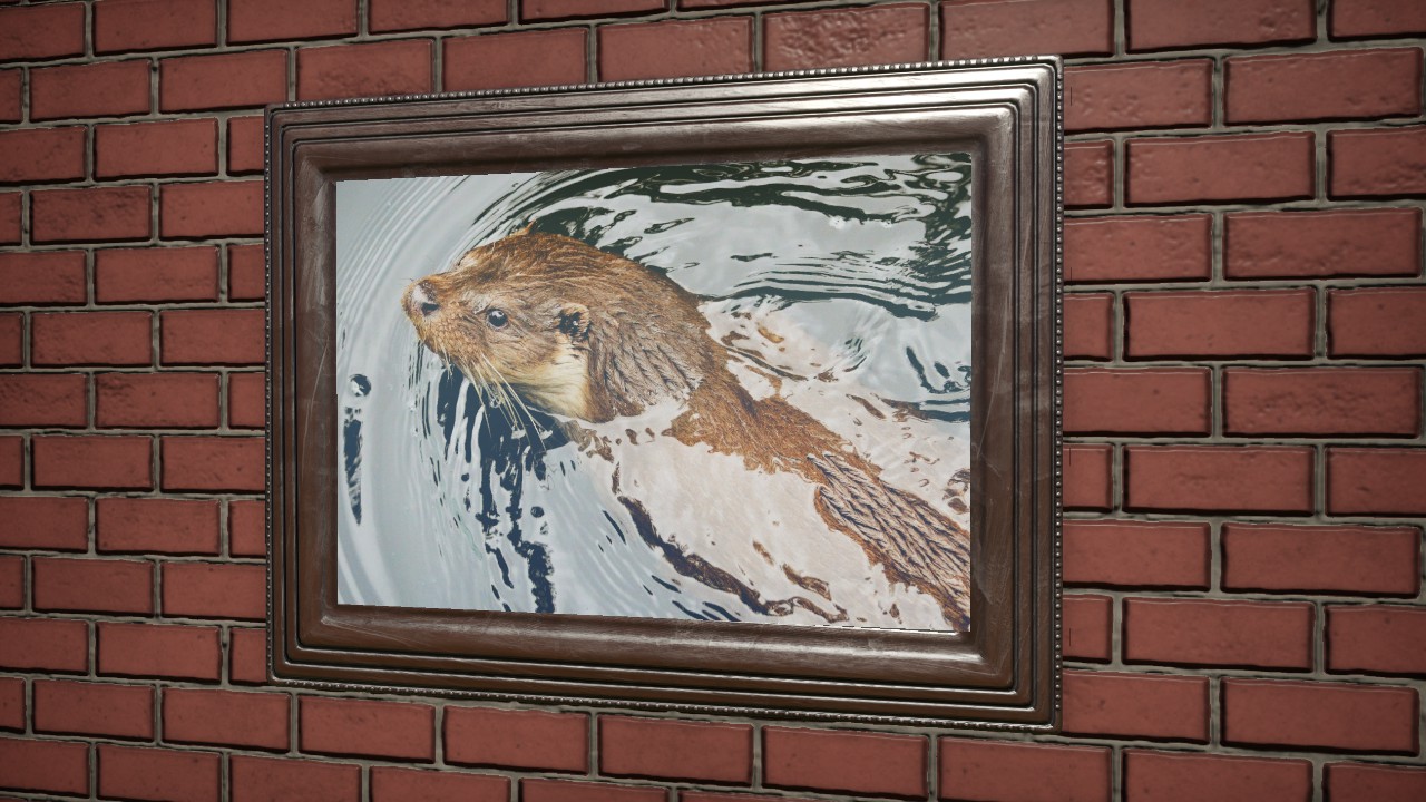 Example_Picture_Large_Otter