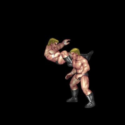 Busaiku Knee Kick B