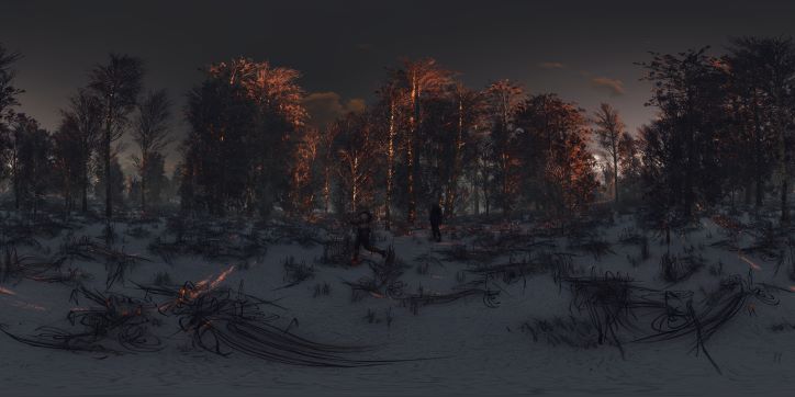 The Witcher 3 Snowy Woods