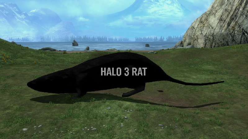 Halo Reach Rat Boss Fight