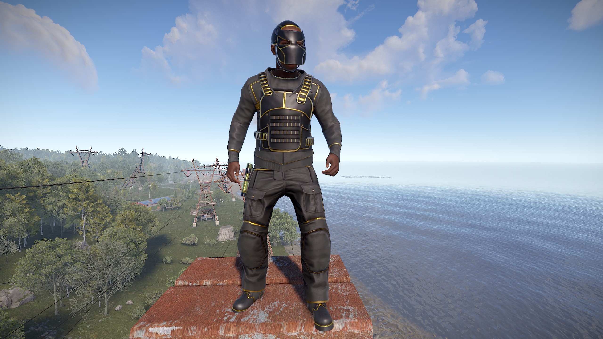 Black Gold Facemask