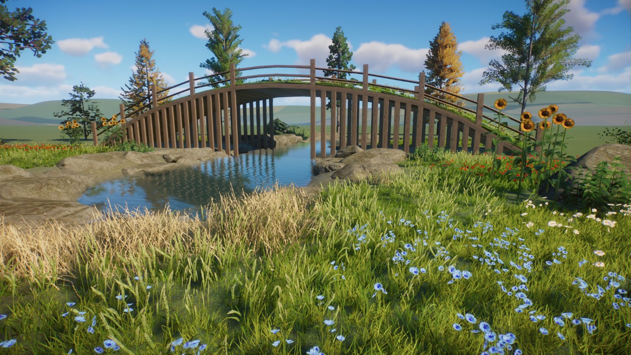 Conservation Bridge Scenery