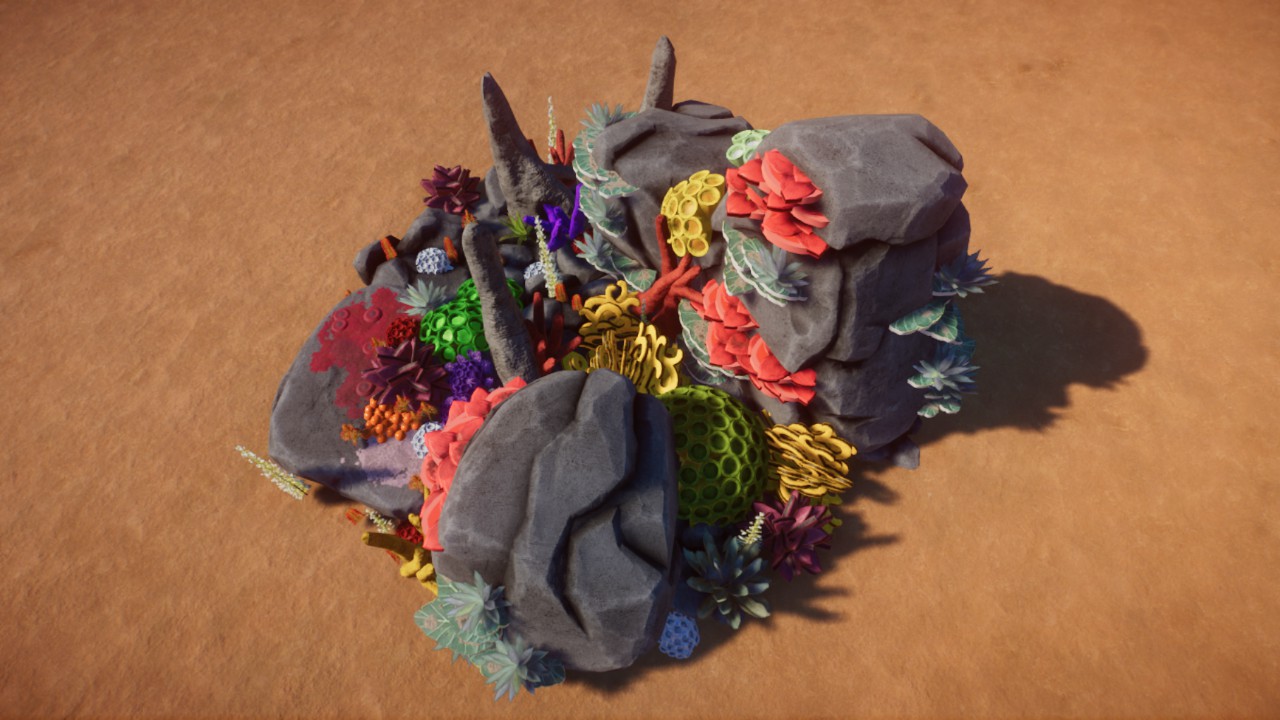 Large Coverage 15 - Coral reef / Algae / Tropical