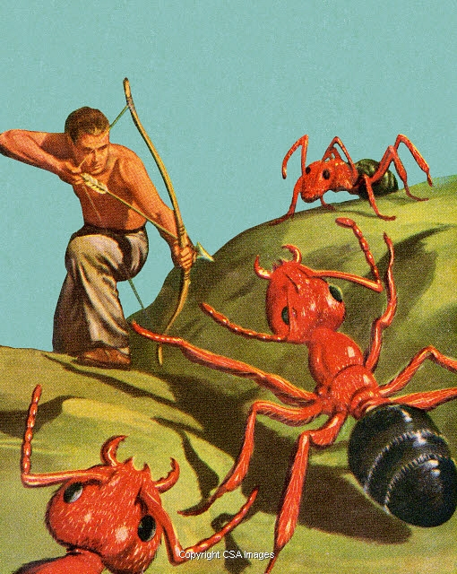 Elysium Extermination Service