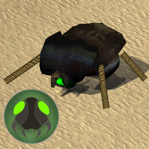 Luse Beetle