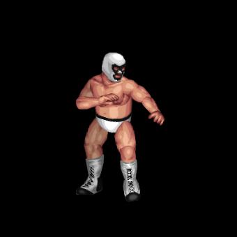 Mr. Wrestling II